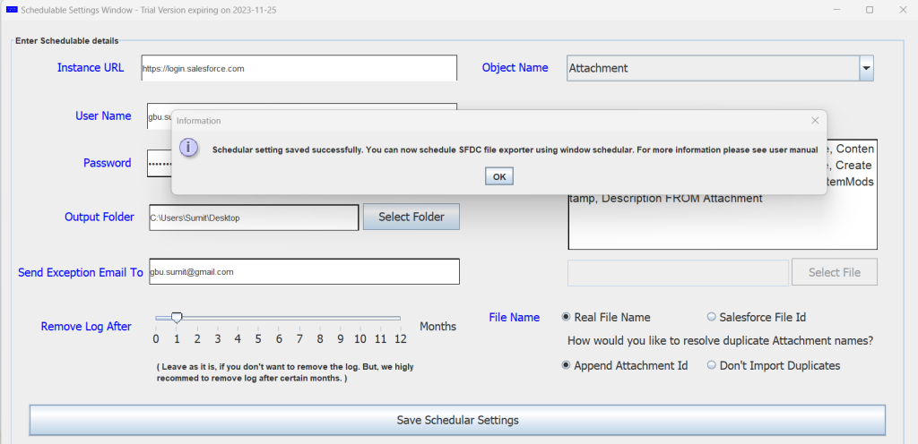Schedule SFDC file Exporter